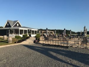 The Dog and Oyster Vineyard