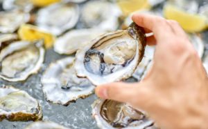 the Best Virginia Oysters come from the northern neck of Virginia, where our luxury Virginia Bed and Breakfast is located
